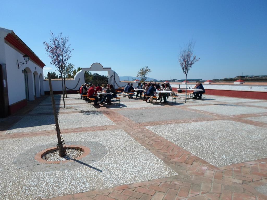 Complejo Pueblo Blanco Hotel Olvera Eksteriør billede
