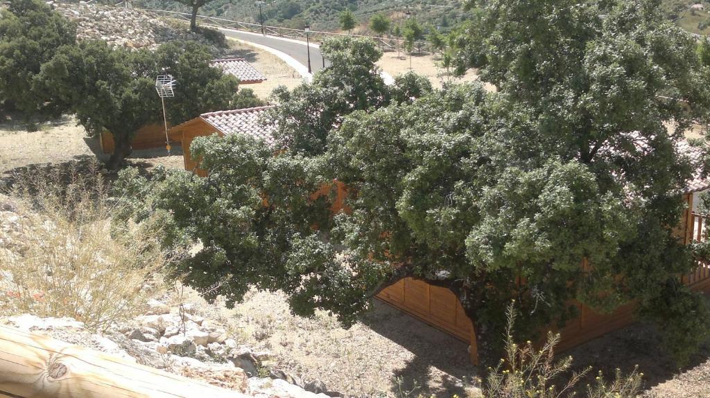 Complejo Pueblo Blanco Hotel Olvera Værelse billede